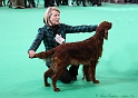 Crufts2011 308